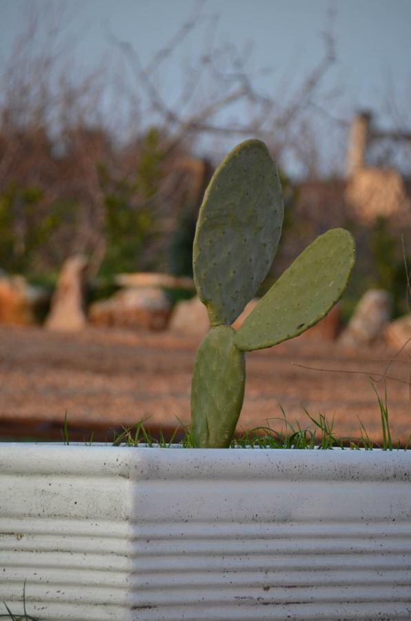 Masseria Poli Country House Conversano Exteriör bild